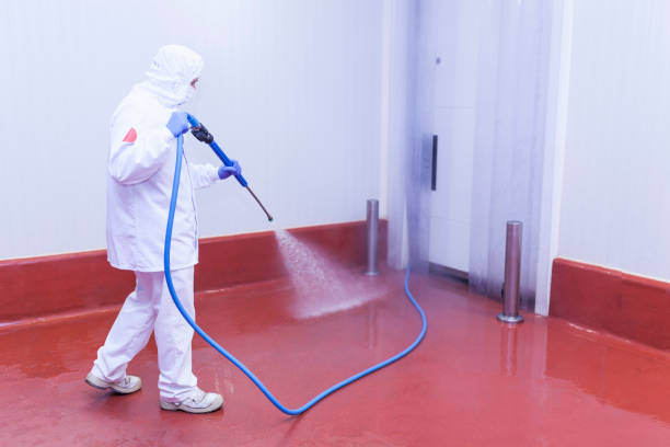Best Sign and Awning Cleaning  in Bradley, IL