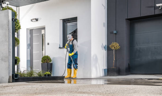 Best Solar Panel Cleaning  in Bradley, IL